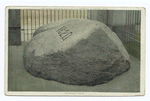 Plymouth Rock