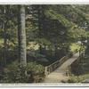 Among the Beeches, Chautauqua Institution, Chautauqua, New York