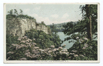 Laurel in June, Lake Minnewaska, N. Y.