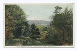 A Peep Through the Trees, Child's Tavern, Wilmington, VT.