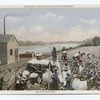 Cotton Picking, Milwaukee Public Museum Miniature Group