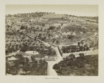 181 Mont des Oliviers, Jerusalem
