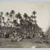Marché des dattes (Bédrechine)