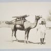 Man holding camel by a bridle