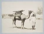 Man holding camel by a bridle