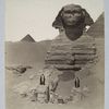 Nº 11 Sphinx [ ] machis