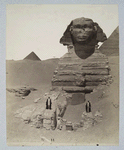 Nº 11 Sphinx [ ] machis