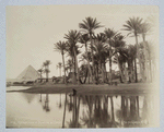 Nº 9 Village arabe et pyramide de Cheops.