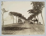Route des pyramides Nº 3