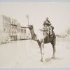 Man on a camel