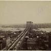 The Brooklyn Bridge, N.Y. (from the World Building.)