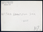 The Beautiful Sea