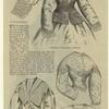 Women's clothing, United States, 1864