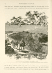 Traditional site of Bethphage, the house of figs, on the ridge which leads from the Mount of Olives to the hill above Bethany. Fig-trees grow by the wayside, and branches of the fig-tree border the picture