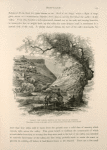 Tophet, the lower portion of the Valley of Hinnom.  The village of Silwán on the right, and the south-east corner of the Haram wall on the left