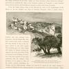 Kuryet-el-'Anab, the village of grapes, probably the Kirjath of Benjamin. It is now commonly called Abu Ghosh. The large building on the right is the Church of St. Jeremiah.