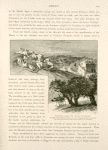 Kuryet-el-'Anab, the village of grapes, probably the Kirjath of Benjamin. It is now commonly called Abu Ghosh. The large building on the right is the Church of St. Jeremiah.