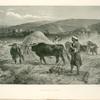 Threshing corn