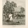 A threshing-floor.  Peasants winnowing grain with large wooden forks, and a team dragging a sledge, the under surface of which is armed with sharp flints, to cut up the straw