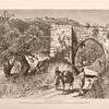 The hill of Samaria.  The road by which it is approached from the south passes through an olive-grove and under a ruined aqueduct