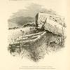 Sarcophagi among the ruins of Kedesh Naphtali.  The one in the foreground is a good example of a sarcophagus with two receptacles.