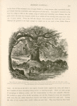 The site of Laish, afterwards called Dan, the ancient northern limit of the Holy Land, at the most westernly source of the Jordan. This spot is now known as Tell el Kâdy (the Hill of the Judge), and here stands a sacred oak hung with votive offerings, with a tomb dedicated to Sheikh Merzûk.