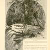 'Ain Fîjeh. this fountain issues from a cavern with two openings, over one of which there is an arch. It forms at once a rapid stream thirty feet wide and three of four feet deep, which rushes over a rocky bed for eighty yards and then joins the Barada.