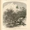 Gathering figs on the Barada, near 'Ain Fîjeh.  Here the effects of irrigation are strikingly seen; as far as the canals and ducts are carried all is luxuriant, but immediately above the line all is parched and bare