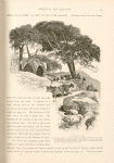 A Lebanon café. Pleasantly situated by a mountain stream and sheltered by the dense foliage of the carouba trees (Ceratonia siliqua). The presence of one of these wayside resting places always indicates a good site for an encampment, for it is sure to be near a supply of good water.