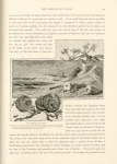 The remains of Tyre. The shore is strewn from one end to the other, along the edge of the water, and in the water, with columns of red and grey granite of various dimensions, the only remaining monuments of ancient Tyre.