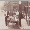 Clam seller in Mulberry Bend, New York