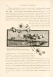 Athlît, from the south.  Called Castellum Peregrinorum by medieval writers. It was one of the most important landing-places for pigrims during the thirteenth century. It stands on a rocky promontory  which projects a quarter of a mile westward into the sea