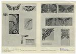 Studies and applications of natural forms by Karl Schütz (Cortina School) ; Studies based an natural forms by F. Oswald (Cortina School)