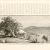 Wâdy es Sunt, the Valley of Elah.   The scene of David's encounter with Goliath.  THe valley winds between the low hills and enters the plain of Philistia opposite Tel es Sâfy.