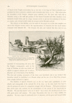 Yabneh, the ancient Jabneh. Called also Jabneel, and by the Greeks Jamnia.  It is a large village, four miles from the seashore, surrounded by orchards. Its mosque was once a Christian church. Its port, once the rival of Joppa, has now almost entirely disappeared.