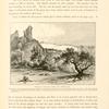 Ruins of Ascalon, from the North-east. Here there are fine orchards and olive- trees, cultivated by the Egyptian peasants of the neighboring village of El Jûrah. The wild onions of 'Askûlon are celebrated for their delicate flavor. The Romans gave them the name of Ascalonia, hence scalogn (Ital.) and shallot (Allium Ascalonicum).