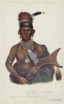Ap-pa-Noo-Se, a Sauk chief