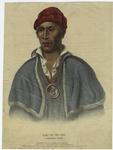 Qua-ta-wa-pea ; a Shawanoe chief