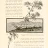 The wilderness of Engedi, where David and his followers lived among the 'rocks of the wild goats'. There are many caves in the hillside which might well serve as a place of refuge for fugitives and outlaws.