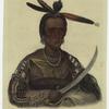 To-Ka-Con: A Sioux chief