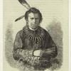The Pawnee warrior, Qu-U-Aek, or "Buffalo Bull"