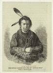 The Pawnee warrior, Qu-U-Aek, or "Buffalo Bull"