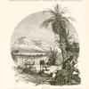 Wâdy Useit. One can go down to the sea-shore by this valley, but the path is hardly passable for camels.  There are clumps of stunted palms every here and there, and some brackish water.