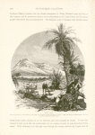 Wâdy Useit. One can go down to the sea-shore by this valley, but the path is hardly passable for camels.  There are clumps of stunted palms every here and there, and some brackish water.