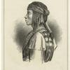 Chapaton : chief of the S. Juan Navajos