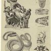 Snakes in art and snake anatomy
