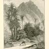 Wâdy Feirân. Professor Palmer describes the walk through Wâdy Feirân, with its shade of palms, tamarisksm and sidr-trees, and with its running water, as one of the most delightful in Sinai.