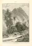 Wâdy Feirân. Professor Palmer describes the walk through Wâdy Feirân, with its shade of palms, tamarisksm and sidr-trees, and with its running water, as one of the most delightful in Sinai.
