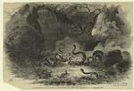 Horrible death--a man eaten by rattlesnakes, near West Chazy, Clinton Co., N.Y