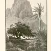 Wâdy T'lâh, Mount Sinai. This wâdy runs parallel with the plain Er Râhah. but flows in a contrary direction.  It is marvellously beautiful and picturesque.